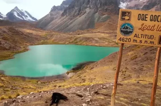Tour 7 Lagunas Ausangate Full Day